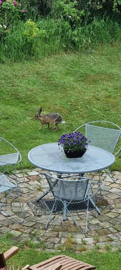 Auszeit An Der Nordsee Husum  Ngoại thất bức ảnh